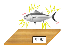 1．漁獲 イメージ