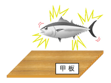 1.漁獲 イメージ