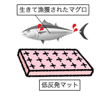 1．脱血前処理 イメージ