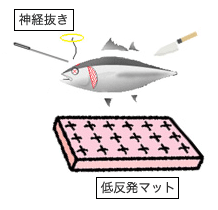 3．神経抜き イメージ