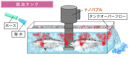 2．脱血作業 イメージ